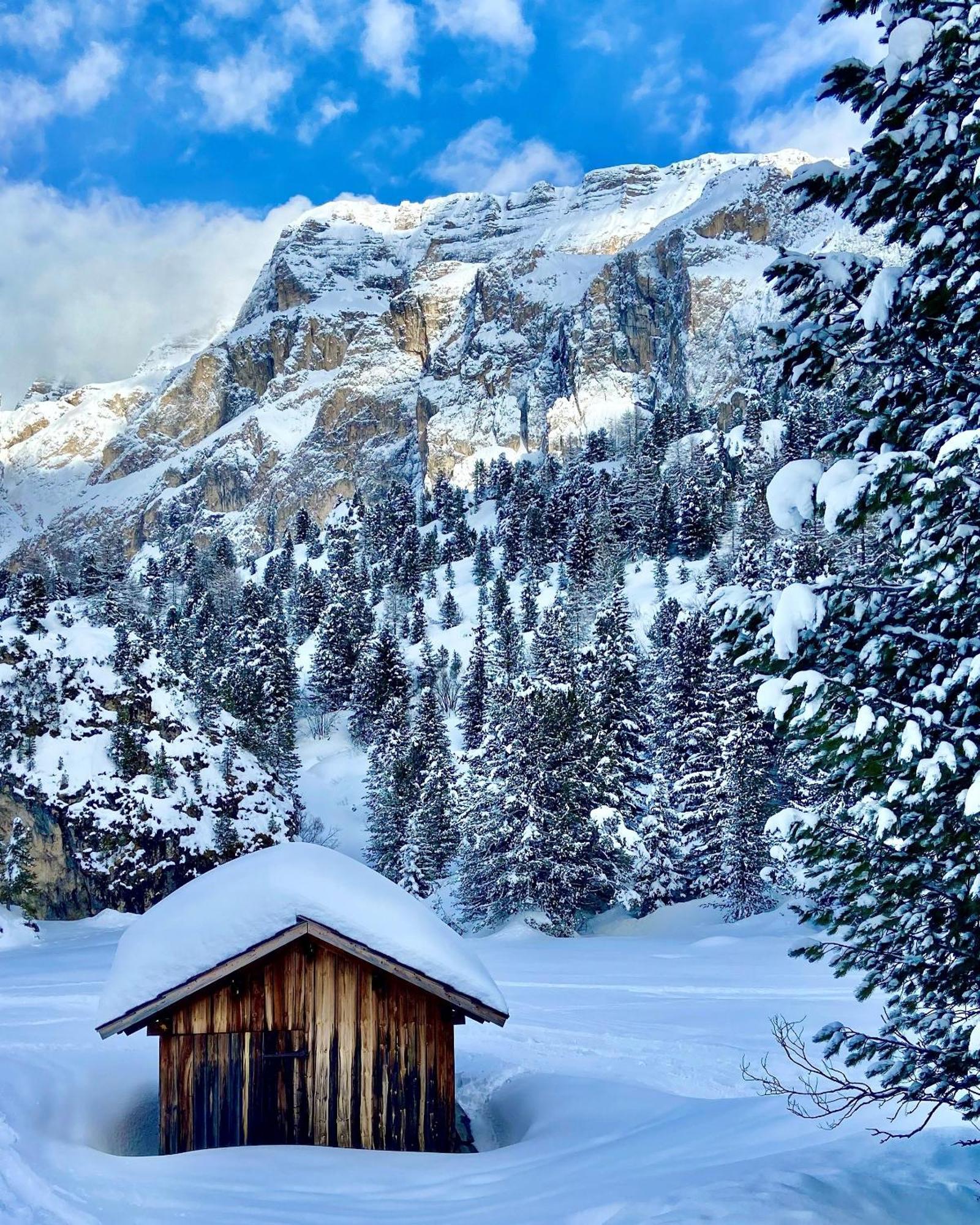 Cesa Vedla - Quite And Cozy Alpine Escape オルティゼーイ エクステリア 写真
