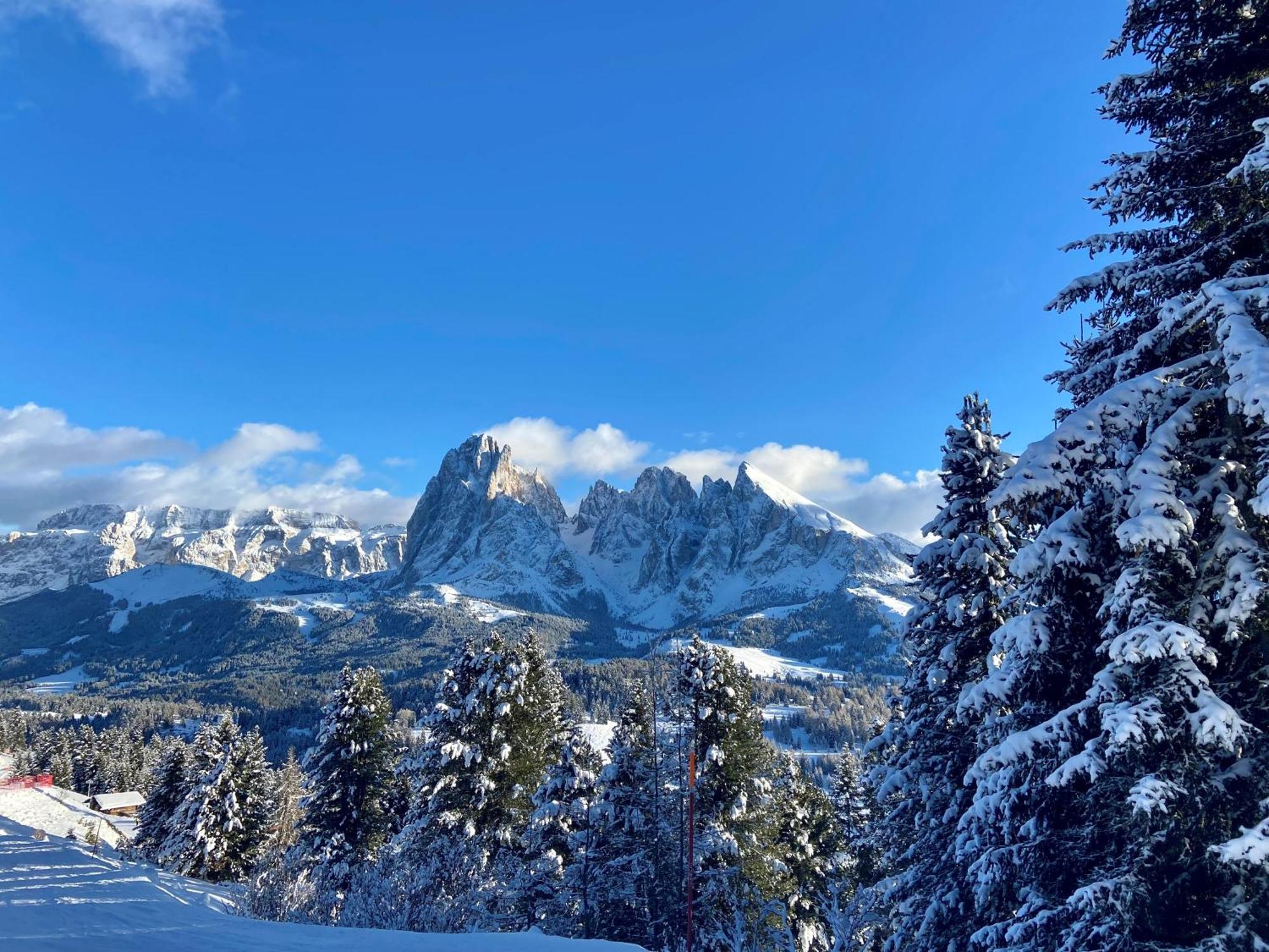 Cesa Vedla - Quite And Cozy Alpine Escape オルティゼーイ エクステリア 写真