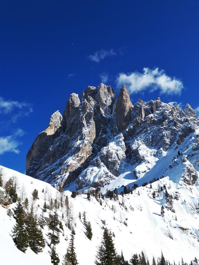 Cesa Vedla - Quite And Cozy Alpine Escape オルティゼーイ エクステリア 写真