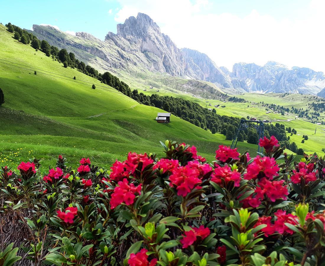 Cesa Vedla - Quite And Cozy Alpine Escape オルティゼーイ エクステリア 写真